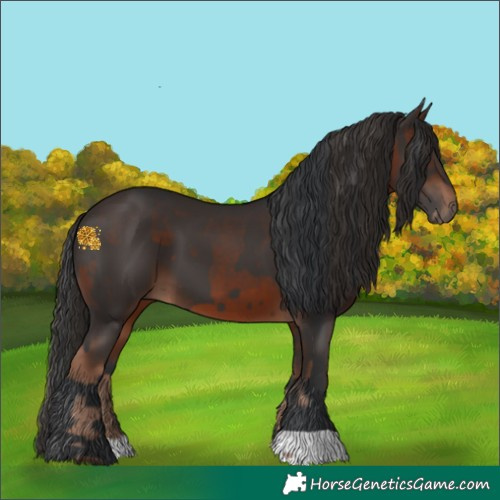 Horse Color:Liver Chestnut  and Brown 