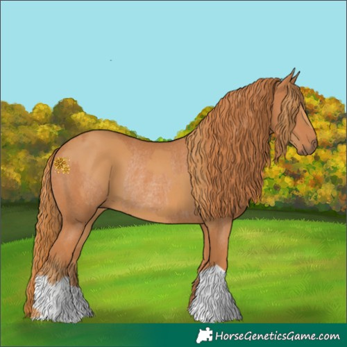 Horse Color:Chestnut  and Chestnut Rabicano 