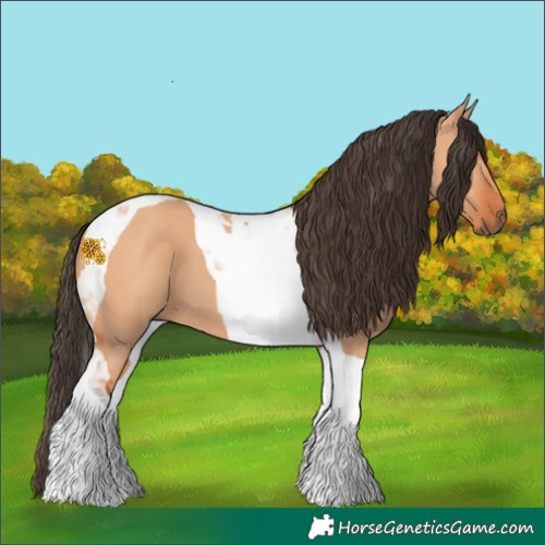 Horse Color:Bay Dun Tobiano 