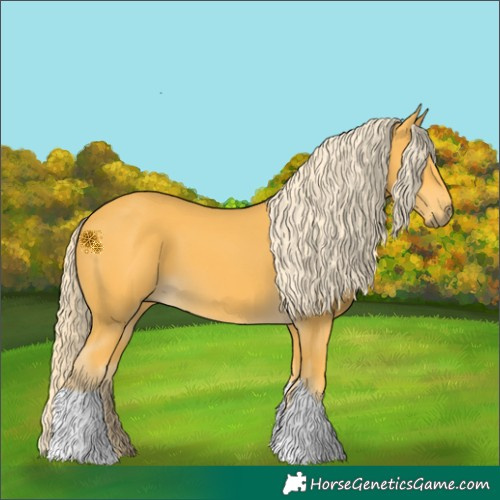 Horse Color:Palomino Tobiano 