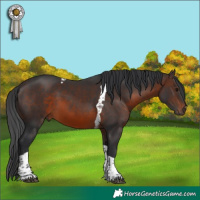 Horse Color:Brown Tobiano 