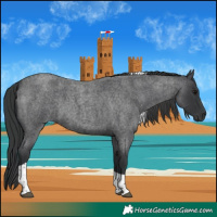 Horse Color:Blue Roan Tobiano 