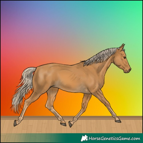 Horse Color:Palomino 