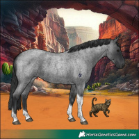 Horse Color:Blue Roan Tobiano