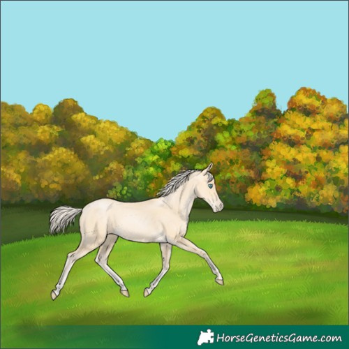 Horse Color:Palomino Pearl 