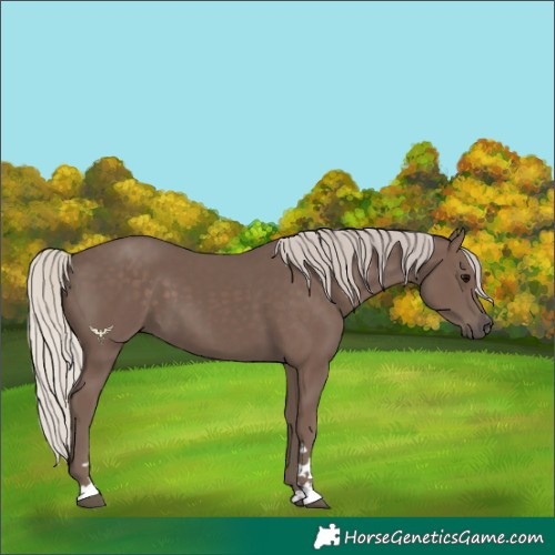 Horse Color:Silver Black 