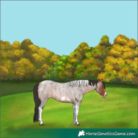 Horse Color:Bay Roan Tobiano Frame 