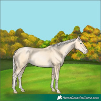 Horse Color:Palomino Pearl