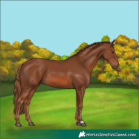 Horse Color:Chestnut 