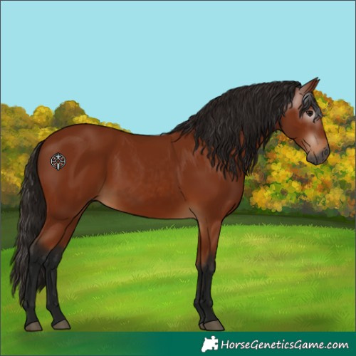 Horse Color:Unknown 