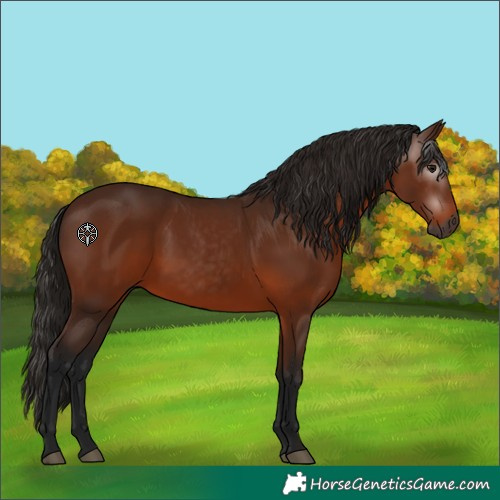 Horse Color:Gray Bay 