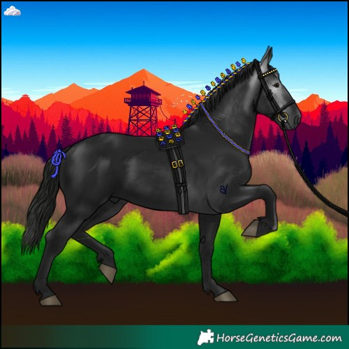 Horse Color:Gray Black 