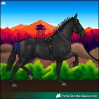 Horse Color:Gray Black 