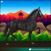 Horse Color:Gray Black 