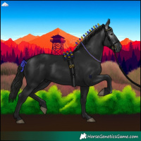 Horse Color:Gray Black 