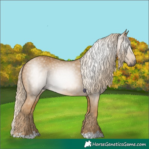 Horse Color:Gray Palomino 