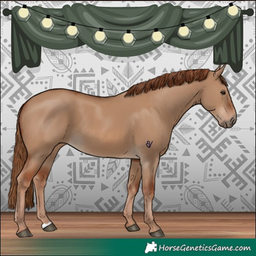 Horse Color:Red Dun 