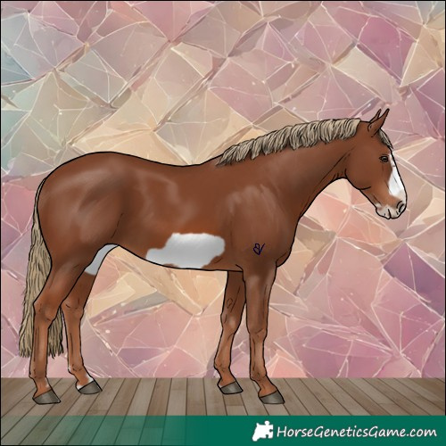Horse Color:Chestnut Frame 