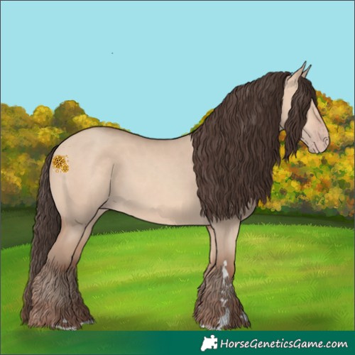 Horse Color:Amber Champagne Dun 