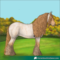 Horse Color:Red Roan 