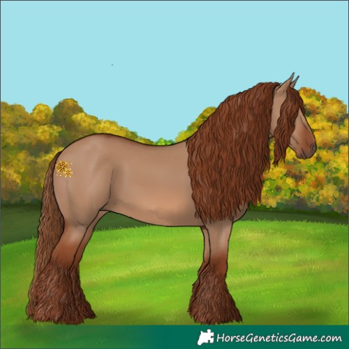 Horse Color:Red Dun 