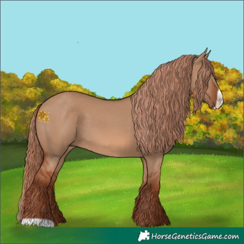 Horse Color:Red Dun Frame 