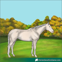 Horse Color:Cremello 