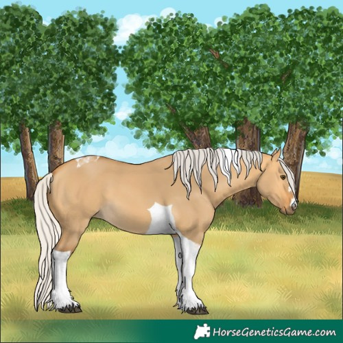 Horse Color:Silver Buckskin Dun Tobiano 