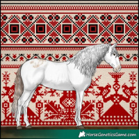 Horse Color:Red Dun Appaloosa  and Red Dun Appaloosa 
