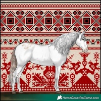 Horse Color:Red Dun Appaloosa  and Red Dun Appaloosa 
