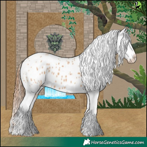 Horse Color:Red Dun Appaloosa and Bay Dun Appaloosa