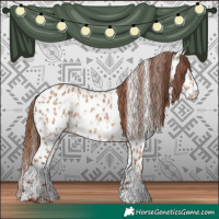 Horse Color:Red Dun Near Leopard and Red Dun Splash Near Leopard