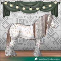 Horse Color:Red Dun Appaloosa and Red Dun Splash Appaloosa