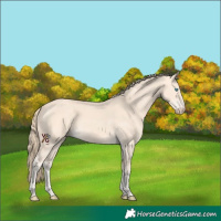 Horse Color:Perlino 