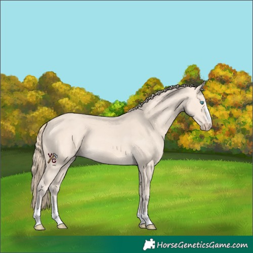 Horse Color:Perlino 