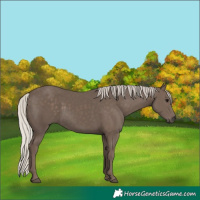 Horse Color:Silver Black Rabicano 