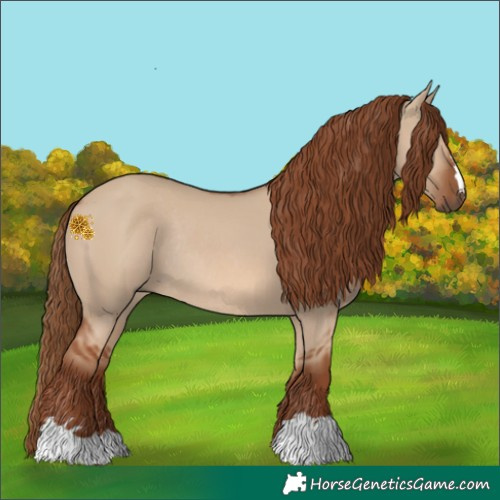 Horse Color:Red Dun Rabicano 