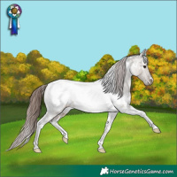 Horse Color:White Spotted Brown Dun Mushroom Tobiano Appaloosa 
