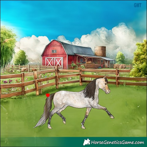 Horse Color:Buckskin Roan Appaloosa Rabicano 