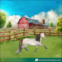 Horse Color:Buckskin Roan Appaloosa Rabicano 