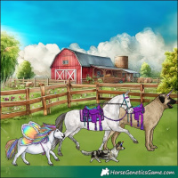 Horse Color:Platinum Buckskin Dun Tobiano Appaloosa