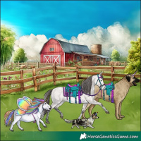 Horse Color:Platinum Buckskin Dun Tobiano Appaloosa 