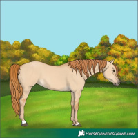 Horse Color:Red Dun 