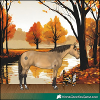 Horse Color:Buckskin 