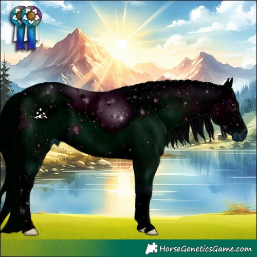 Horse Color:ERROR: UNKNOWN ANOMALY