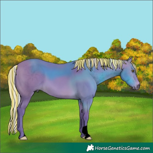 Horse Color:Void Painted Watercolor Silver Bay