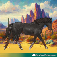 Horse Color:Liver Chestnut Tobiano 