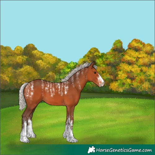 Horse Color:Powder White Silver Brown 