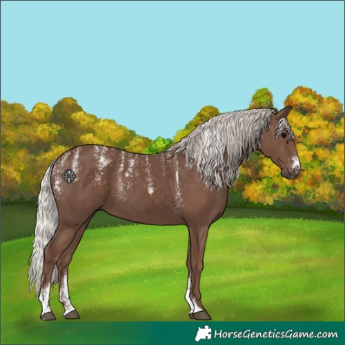 Horse Color:Powder White Silver Black 