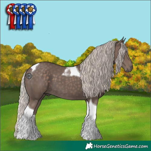 Horse Color:Silver Black Tobiano 